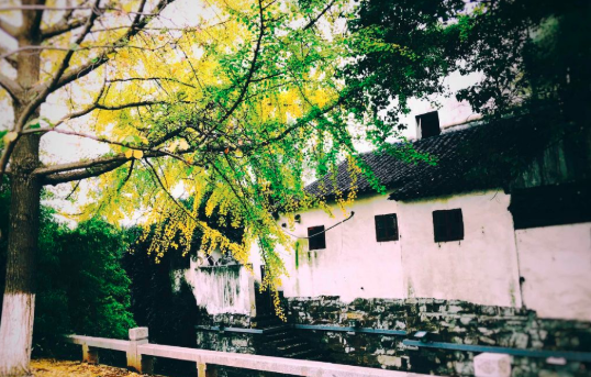 微信图片_20200807091512