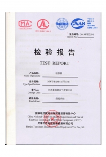 高压电容器试验报告_00